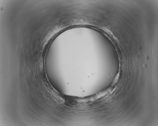 X0000062651167200601040910