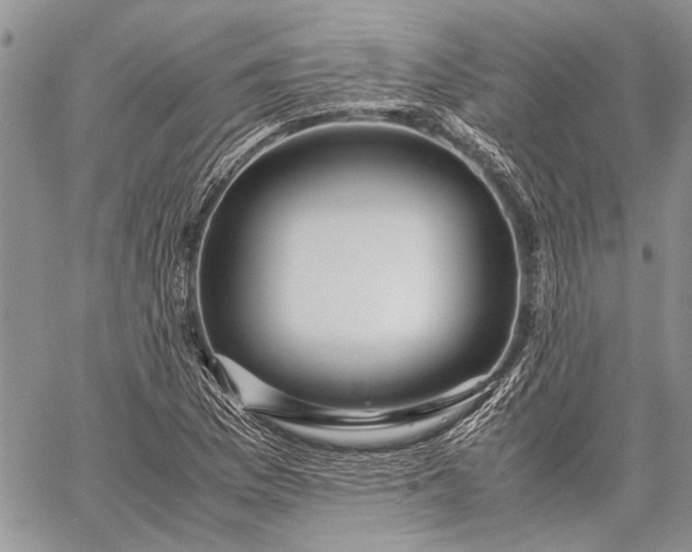 X0000062651169200601040910