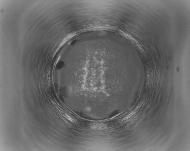 X0000062651170200601040910