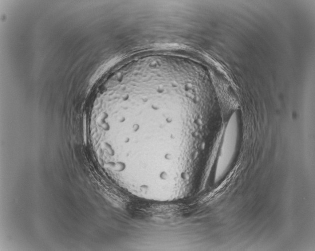 X0000062651171200601040910