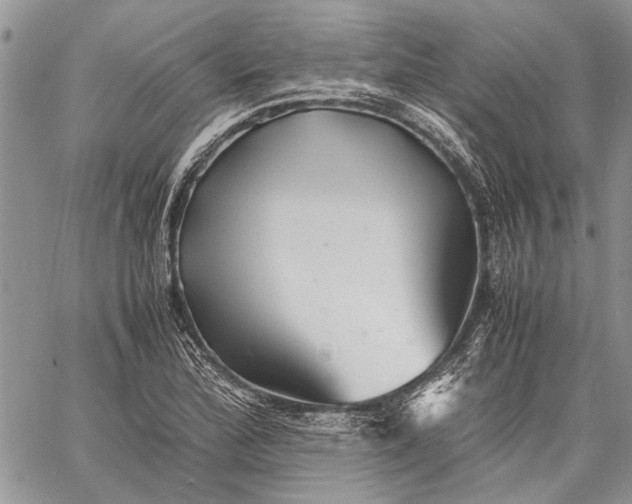 X0000062651172200601040910