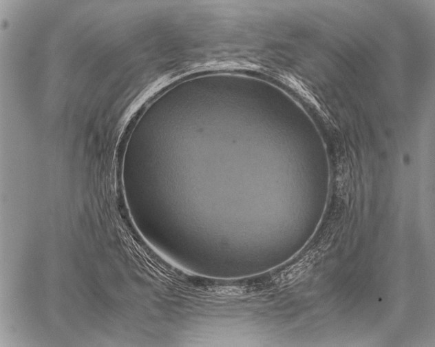 X0000062651173200601040910