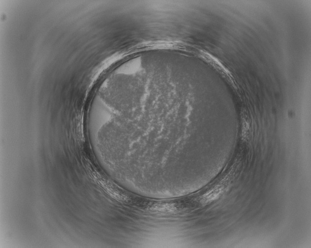 X0000062651174200601040910