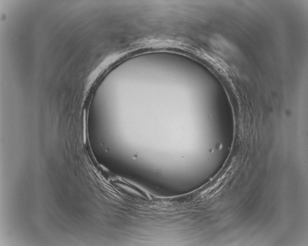 X0000062651175200601040910