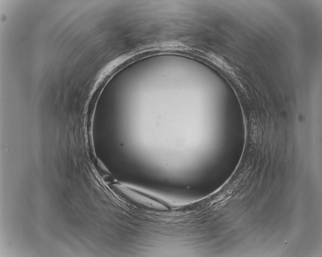 X0000062651176200601040910