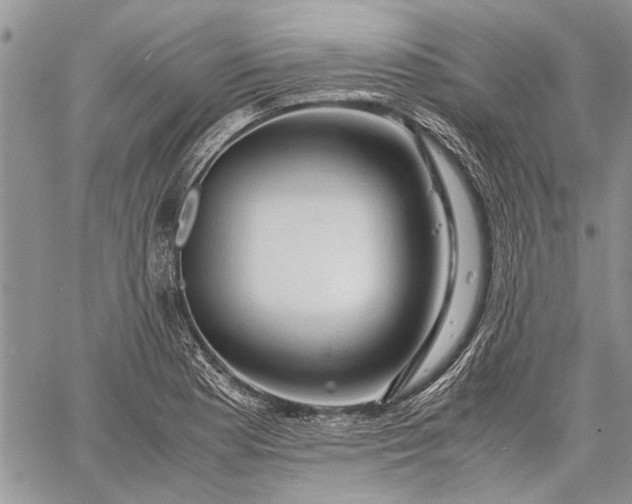 X0000062651177200601040910