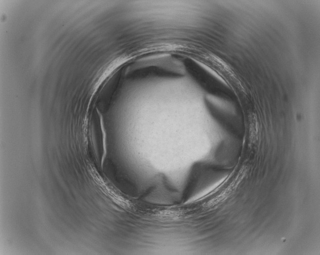 X0000062651178200601040910