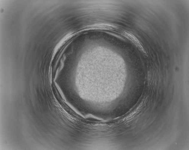 X0000062651180200601040910