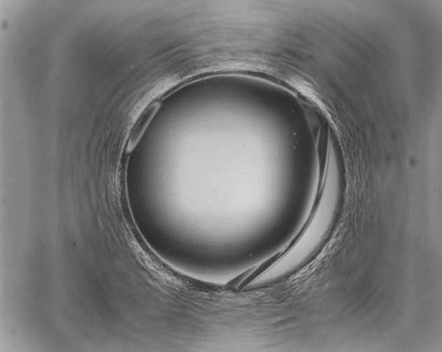 X0000062651181200601040910