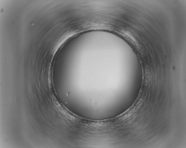 X0000062651182200601040910