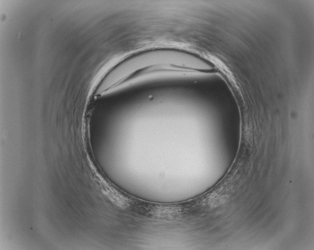 X0000062651183200601040910