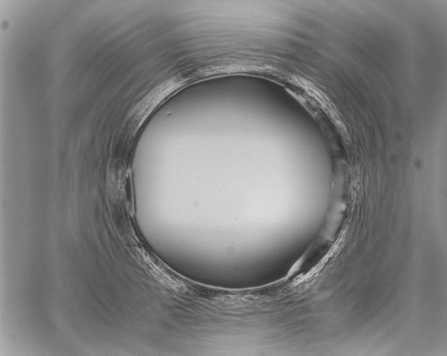 X0000062651185200601040910