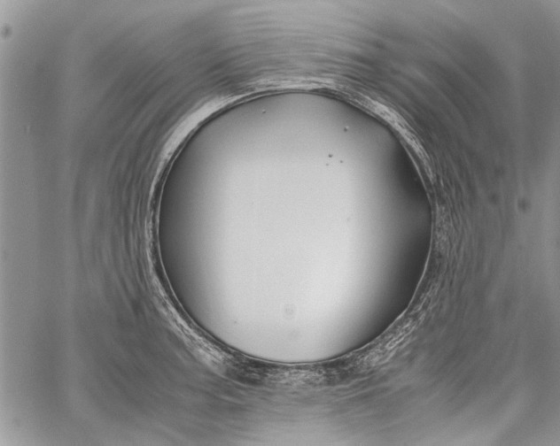 X0000062651187200601040910