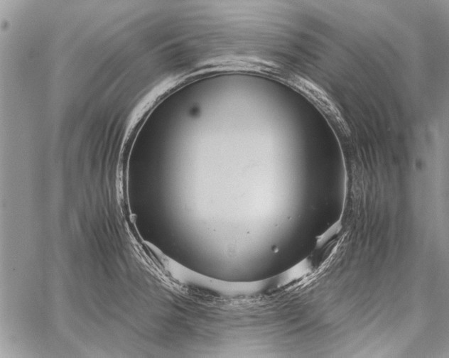 X0000062651188200601040910