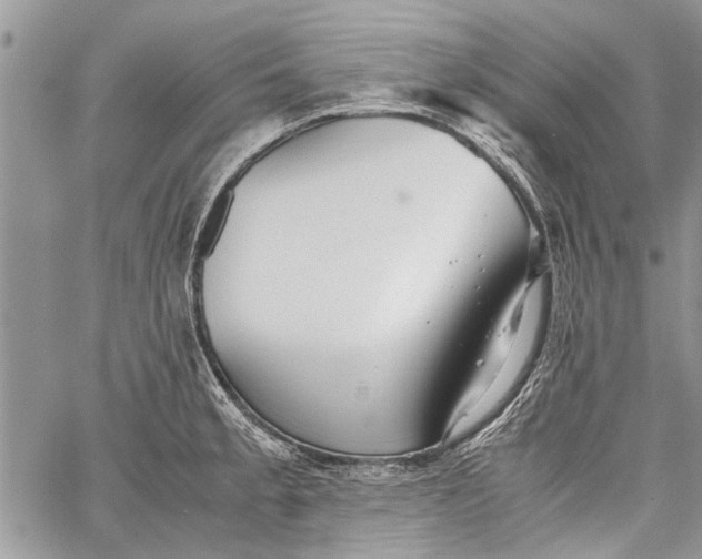 X0000062651189200601040910