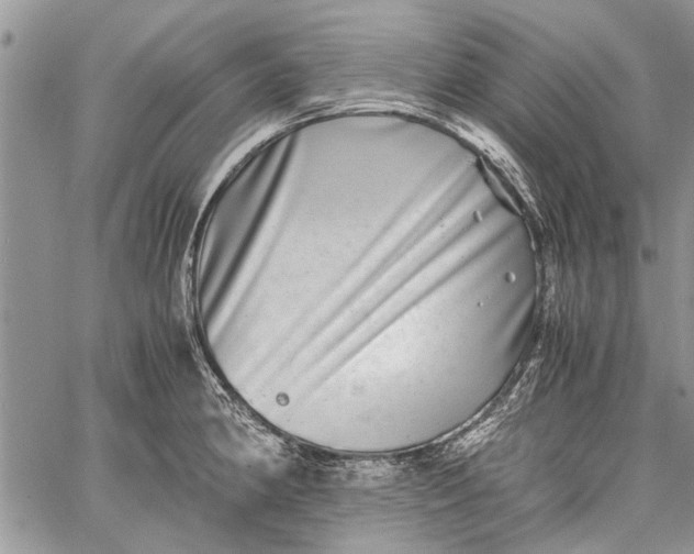 X0000062651190200601040910