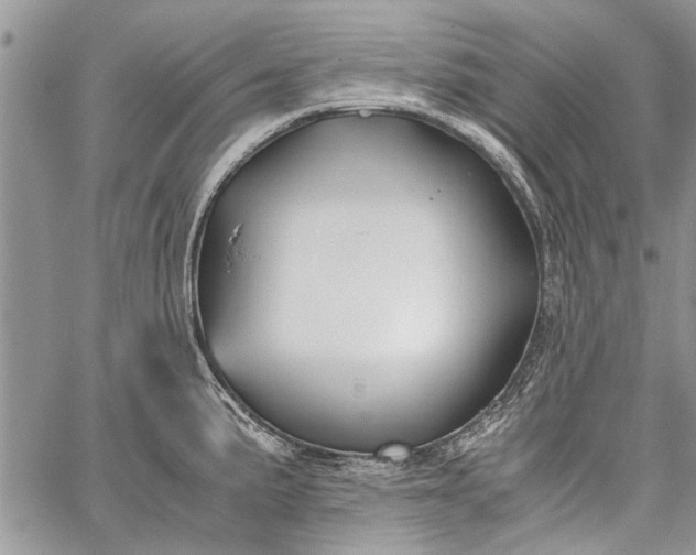 X0000062651191200601040910