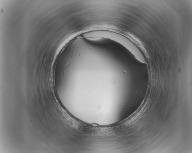 X0000062651192200601040910