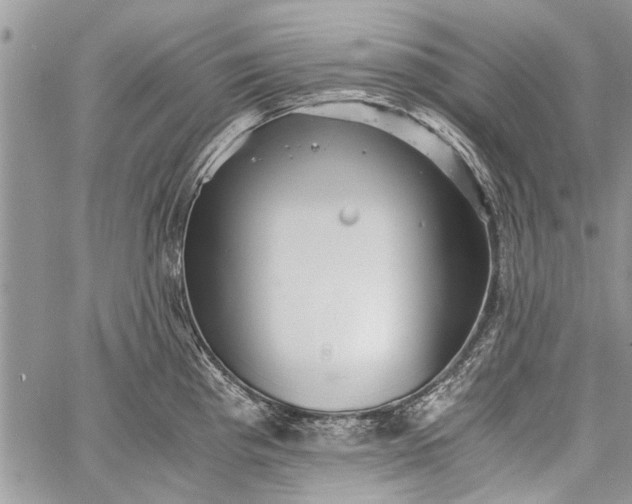 X0000062651193200601040910