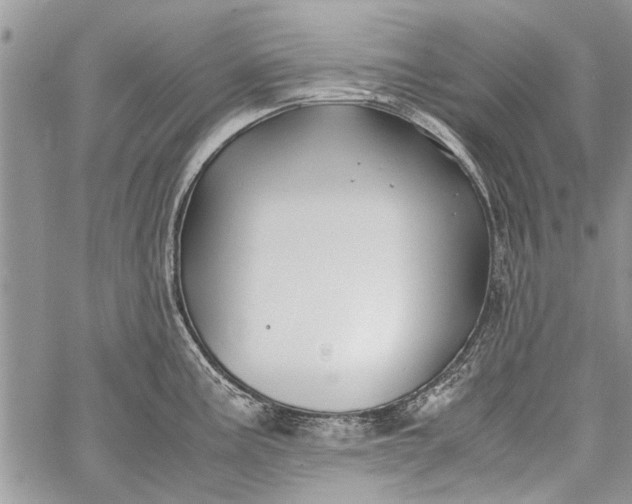 X0000062651195200601040910