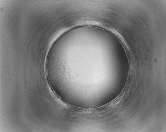 X0000062651199200601040910