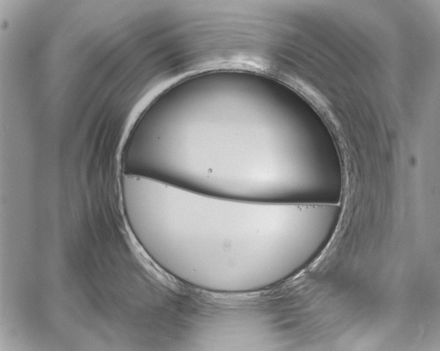 X0000062651200200601040910