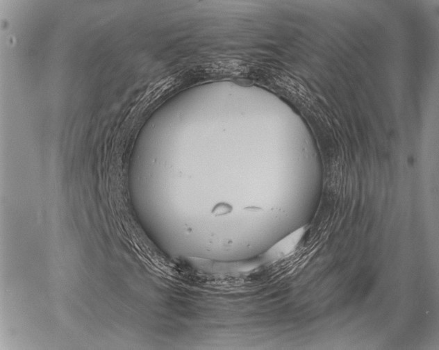 X0000062651201200601040909