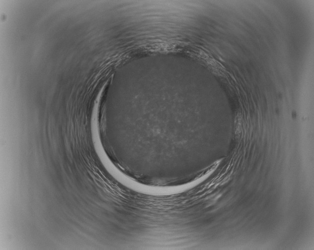 X0000062651202200601040909