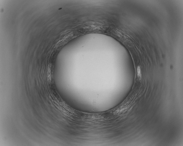 X0000062651203200601040909