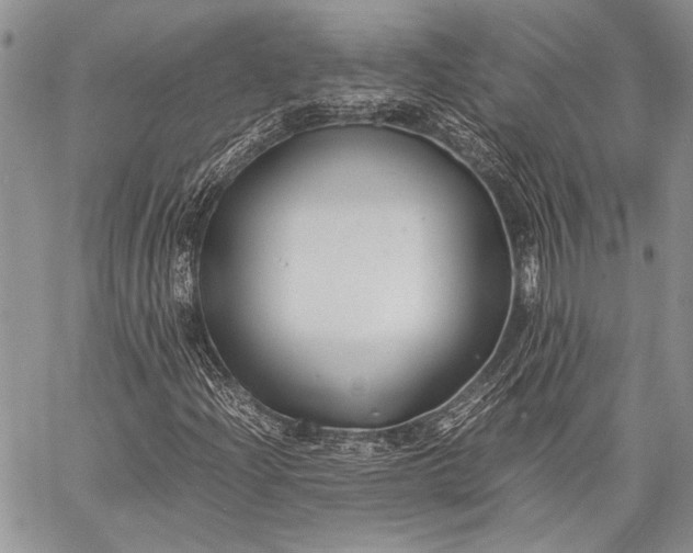 X0000062651204200601040909