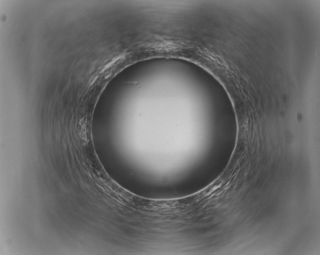 X0000062651205200601040909