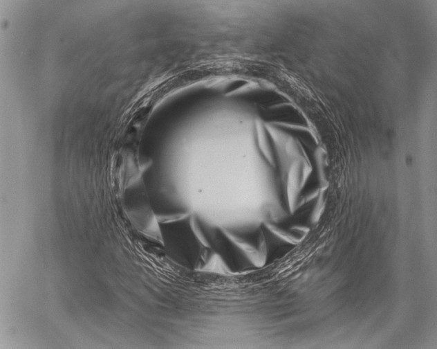 X0000062651206200601040909