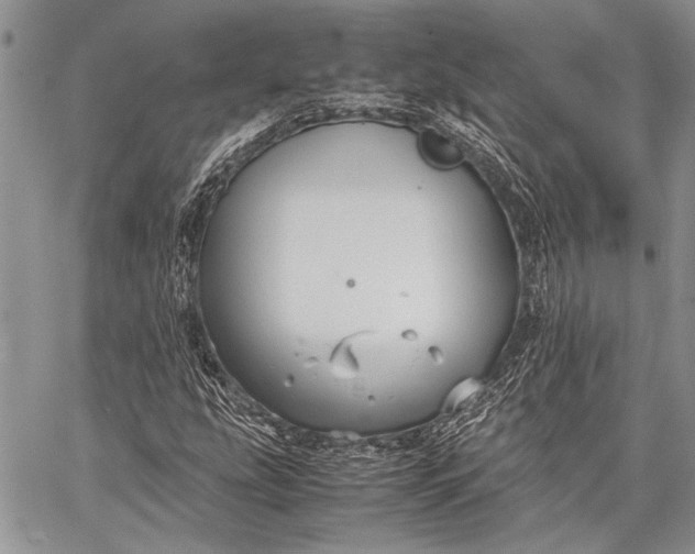 X0000062651207200601040909