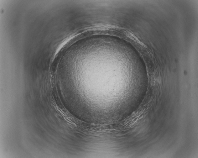 X0000062651208200601040909