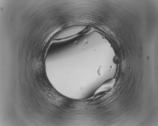 X0000062651210200601040909