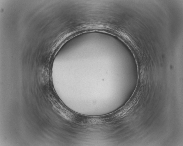 X0000062651212200601040909