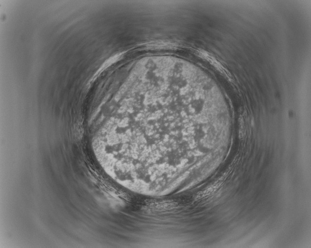 X0000062651213200601040909