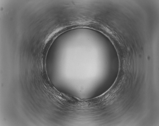 X0000062651214200601040909