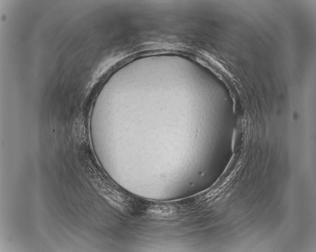 X0000062651215200601040909