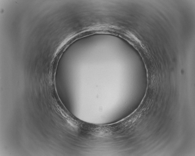 X0000062651216200601040909