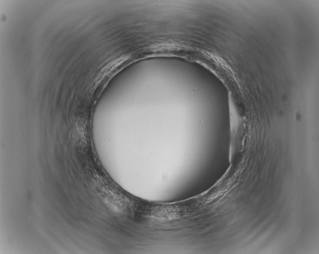 X0000062651217200601040909