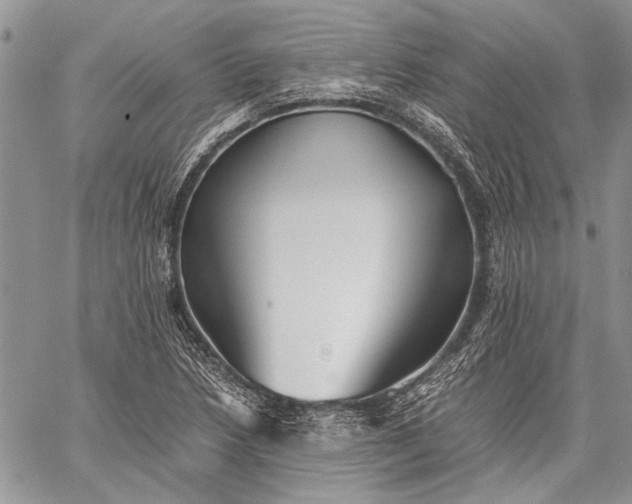 X0000062651218200601040909