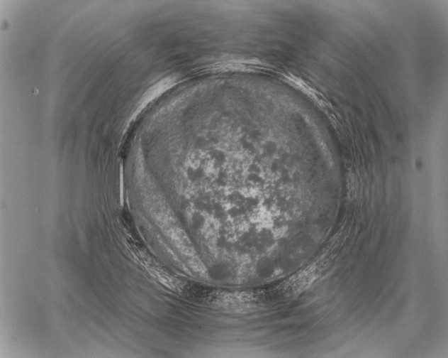 X0000062651219200601040909