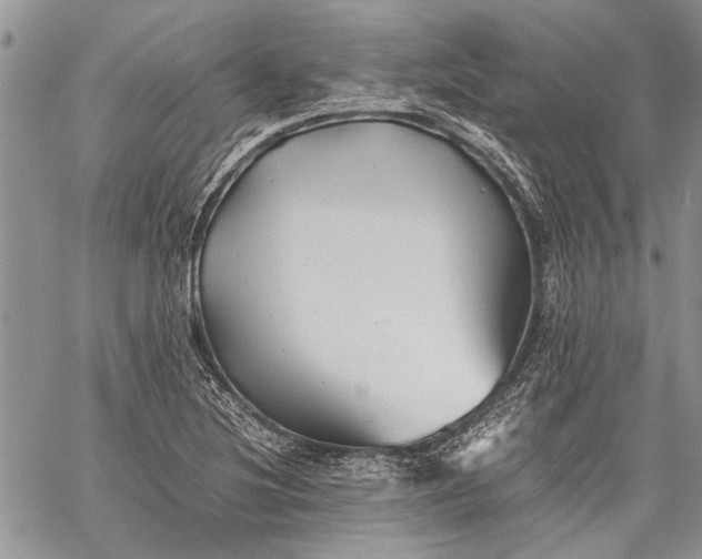 X0000062651220200601040909