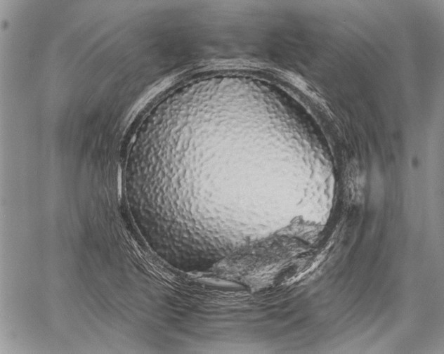 X0000062651221200601040909