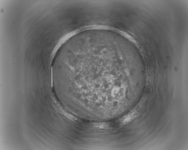 X0000062651223200601040909