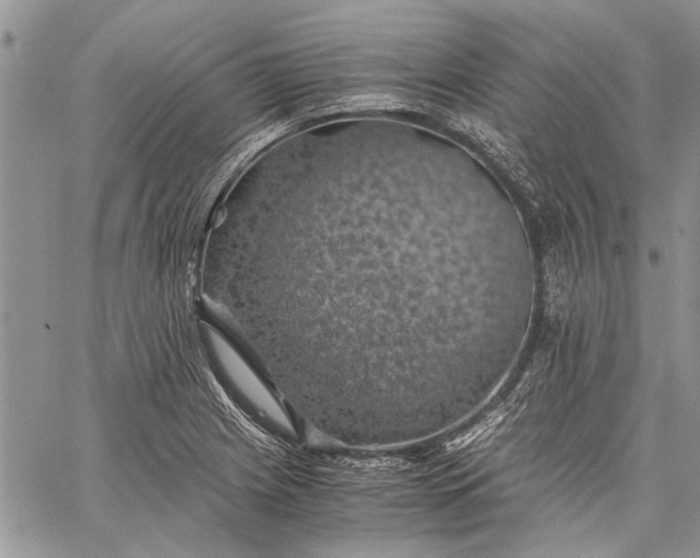 X0000062651225200601040909