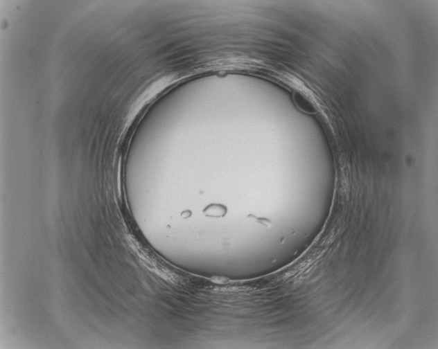 X0000062651227200601040909