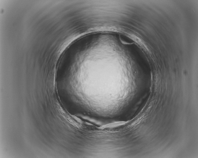 X0000062651228200601040909