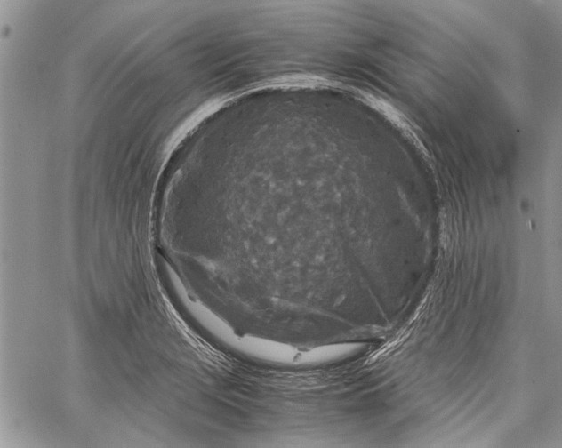 X0000062651229200601040909